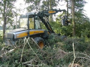 abersenny woodland management felling and harvesting