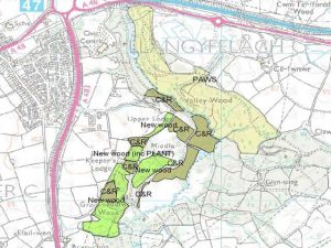 aberseeny woodland management woodland